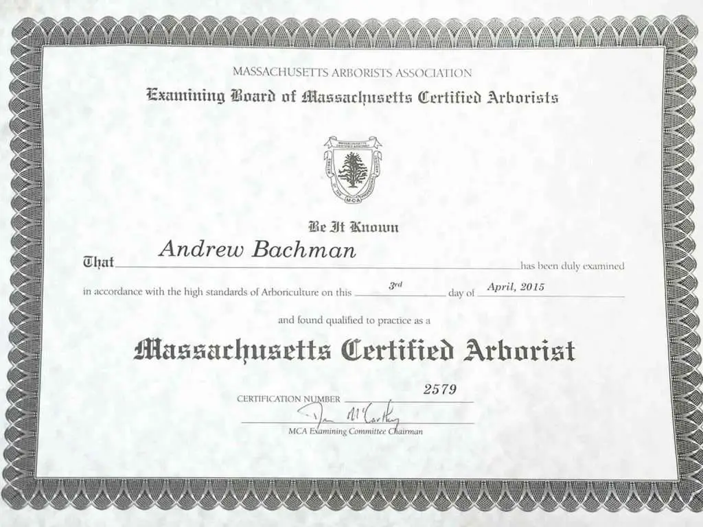 Licenses and Accreditation