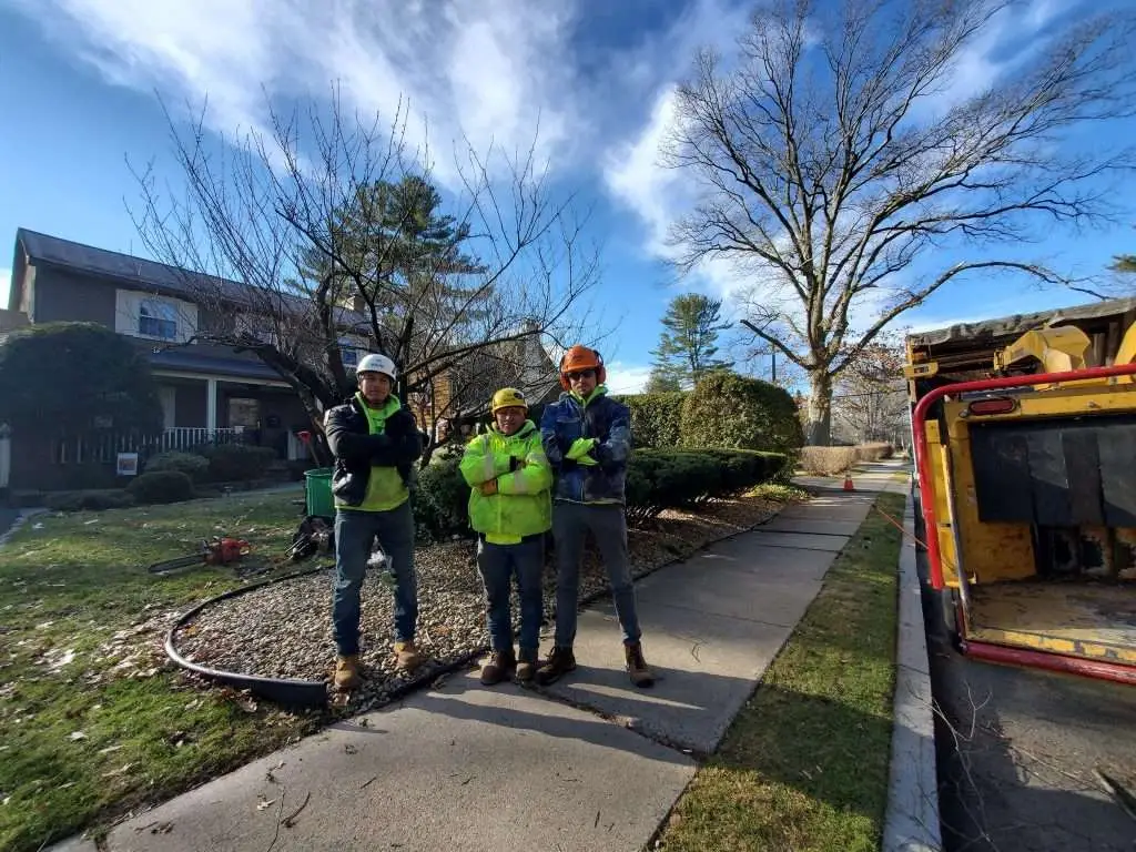 Trout Brook Arborist - Landscaping & Tree Services The Best Tree Services in West Hartford CT - Certified Arborists & Landscaping