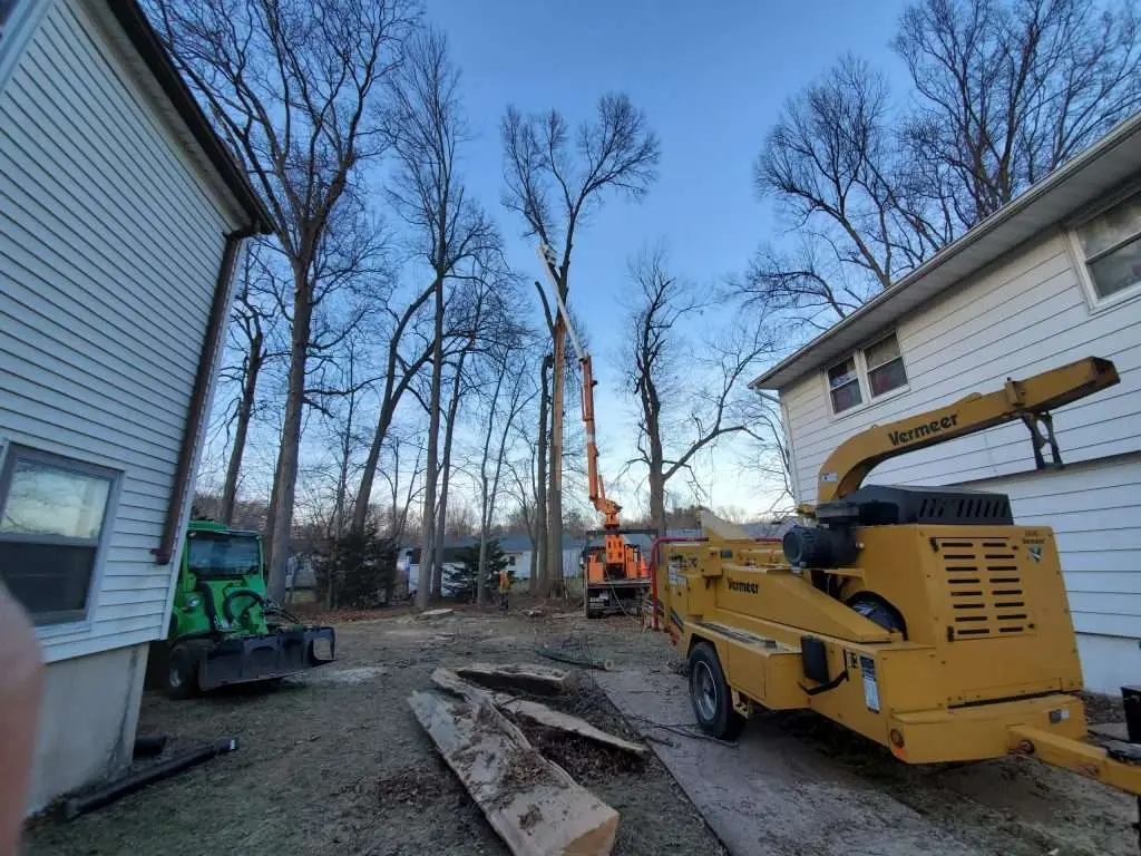 Tree trimming and pruning