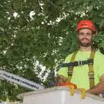 Trout Brook Arborist - Landscaping & Tree Services The Best Tree Services in West Hartford CT - Certified Arborists & Landscaping