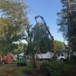 Trout Brook Arborist - Landscaping & Tree Services The Best Tree Services in West Hartford CT - Certified Arborists & Landscaping