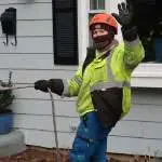 Professional Tree Spraying Service: Complete Care Guide 2024