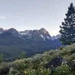 Trout Brook Arborist - Landscaping & Tree Services The Best Tree Services in West Hartford CT - Certified Arborists & Landscaping