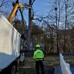 Trout Brook Arborist - Landscaping & Tree Services The Best Tree Services in West Hartford CT - Certified Arborists & Landscaping