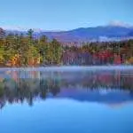 Trout Brook Arborist - Landscaping & Tree Services The Best Tree Services in West Hartford CT - Certified Arborists & Landscaping