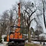 Trout Brook Arborist - Landscaping & Tree Services The Best Tree Services in West Hartford CT - Certified Arborists & Landscaping