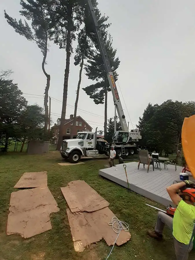 Trout Brook Arborist - Landscaping & Tree Services The Best Tree Services in West Hartford CT - Certified Arborists & Landscaping