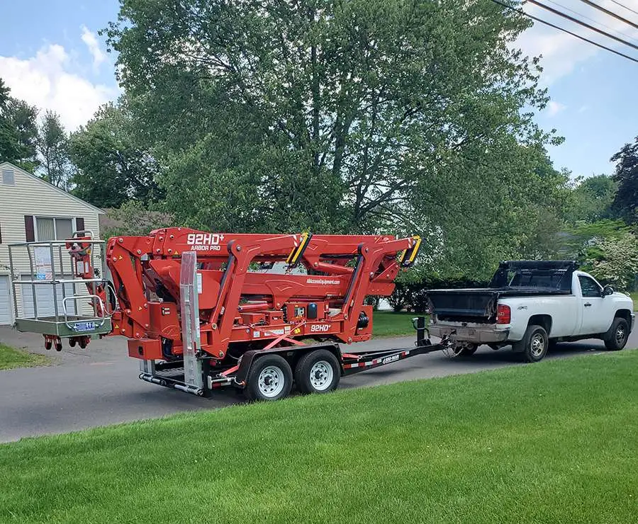tree stump grinding service