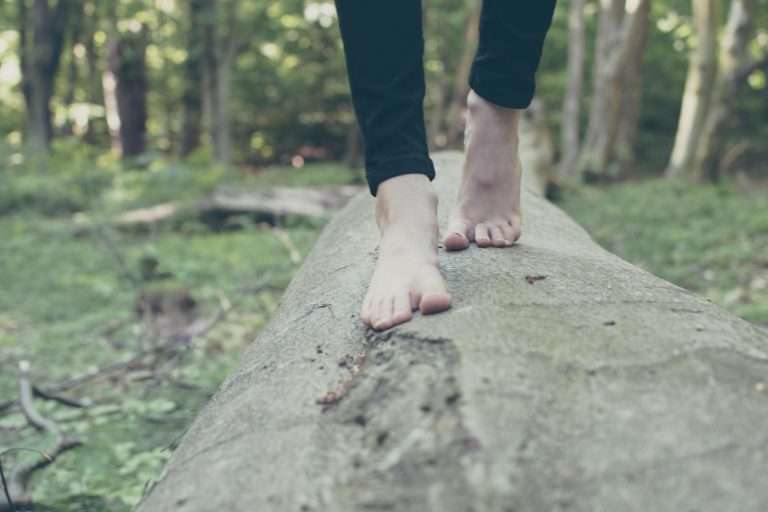 Tree Doctor Decoded: What Is an Arborist in West Hartford?