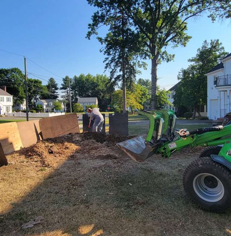 Mastering Final Cut Tree Care: Expert Tips for 2024