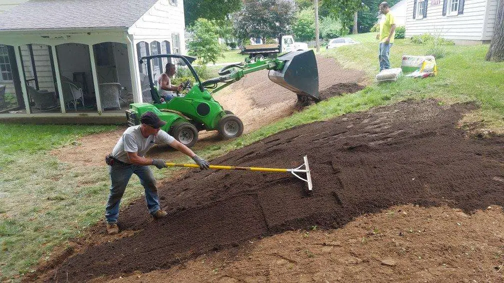  Frequently Asked Questions About Tree Stump Removal