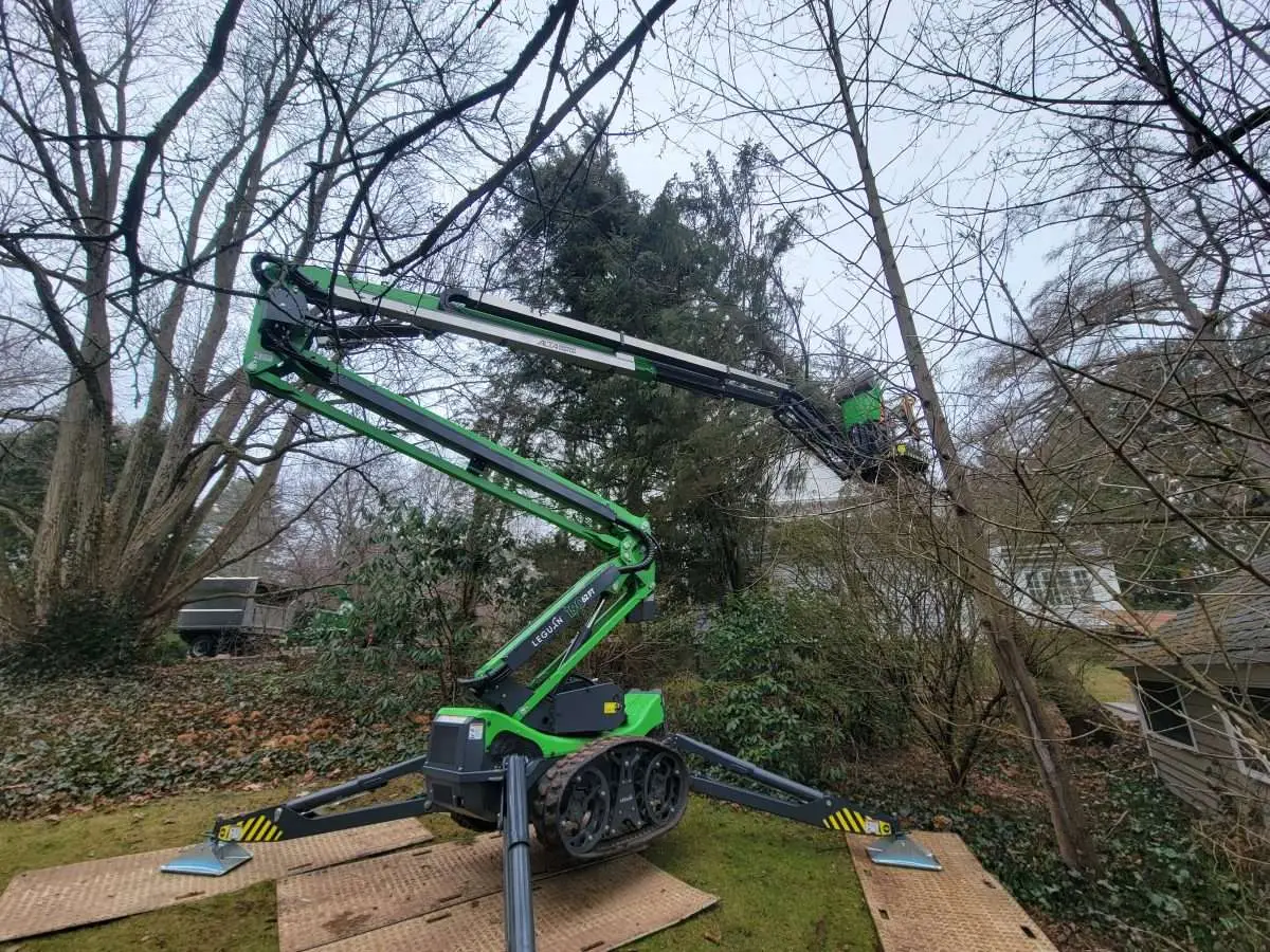 FAQ on Yard & Garden Clean Up Service: What You Need To Know