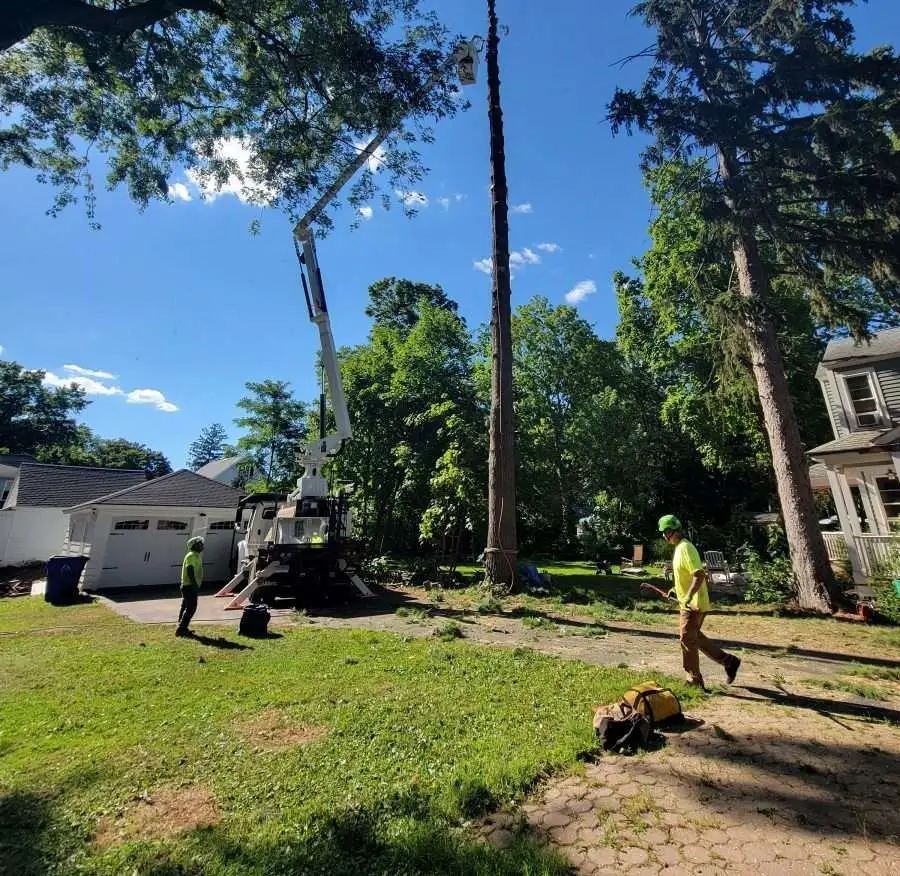 Landscape Installation Service FAQ: Common Q&A