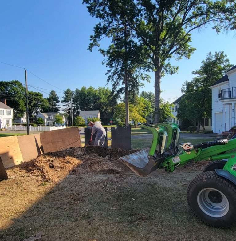 How to Choose the Best Tree Service in West Hartford