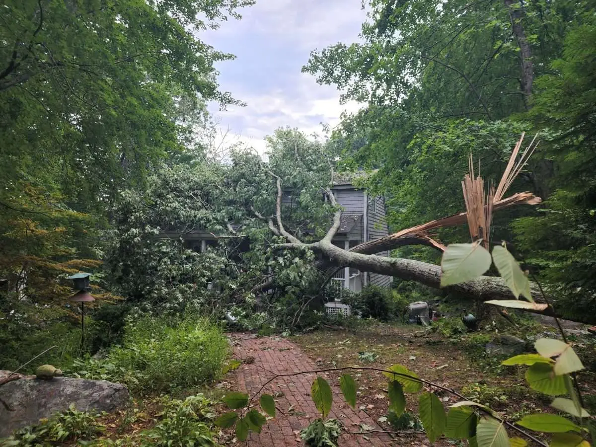 Landscape Installation Service FAQ: Common Q&A