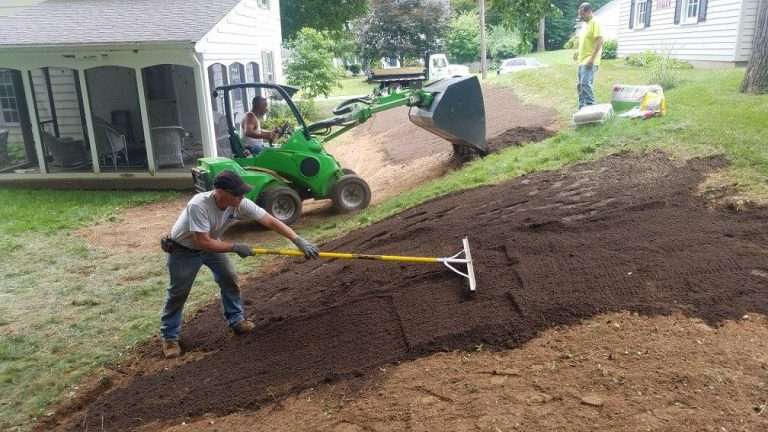 Urban Arborists: Unsung Heroes of Green Spaces in 2024