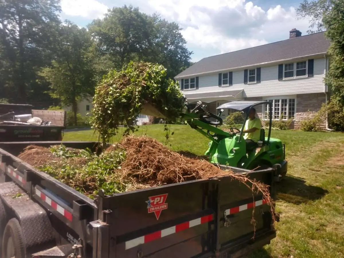 Frequently Asked Questions About Tree Planting