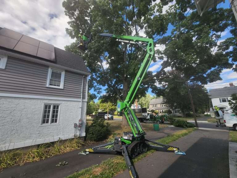 The Importance of Arboriculture Insurance in 2024