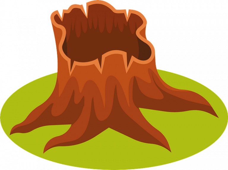 Copper Nails: The Secret to Killing Tree Stumps in 2024
