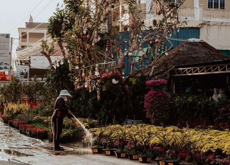 Arborist Watering Supplies: Essentials for Tree Care in 2024