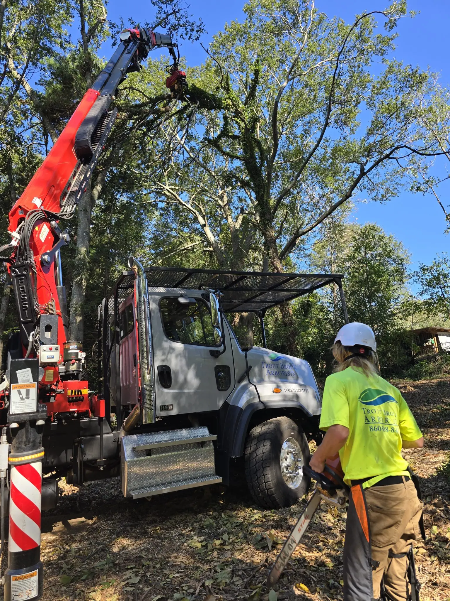 Trout Brook Arborist - Landscaping & Tree Services The Best Tree Services in West Hartford CT - Certified Arborists & Landscaping