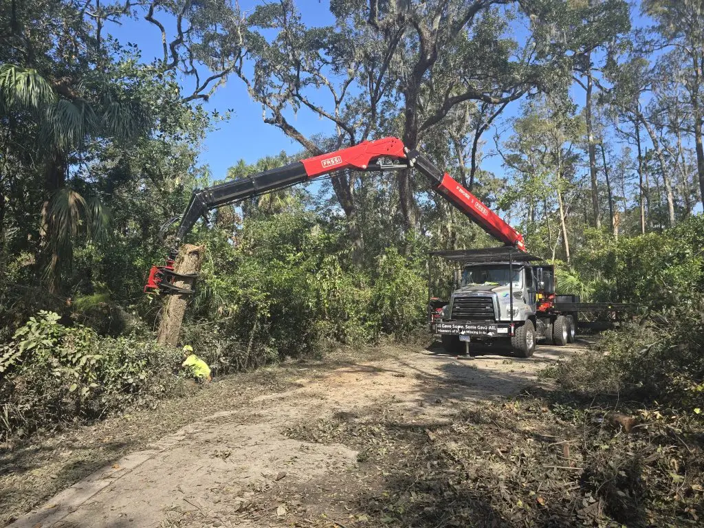 Trout Brook Arborist - Landscaping & Tree Services The Best Tree Services in West Hartford CT - Certified Arborists & Landscaping