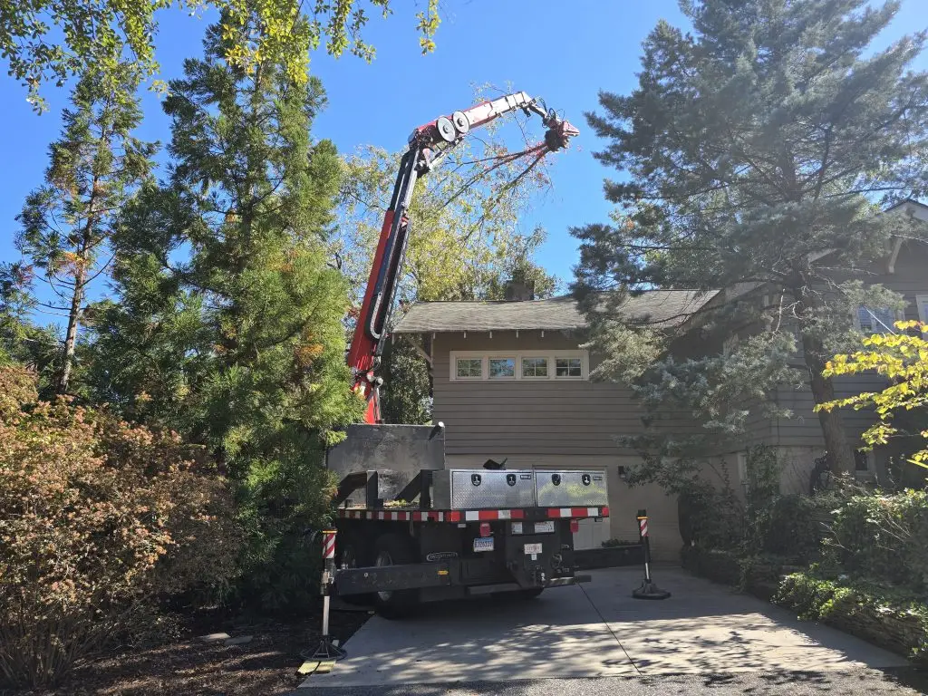 Trout Brook Arborist - Landscaping & Tree Services The Best Tree Services in West Hartford CT - Certified Arborists & Landscaping