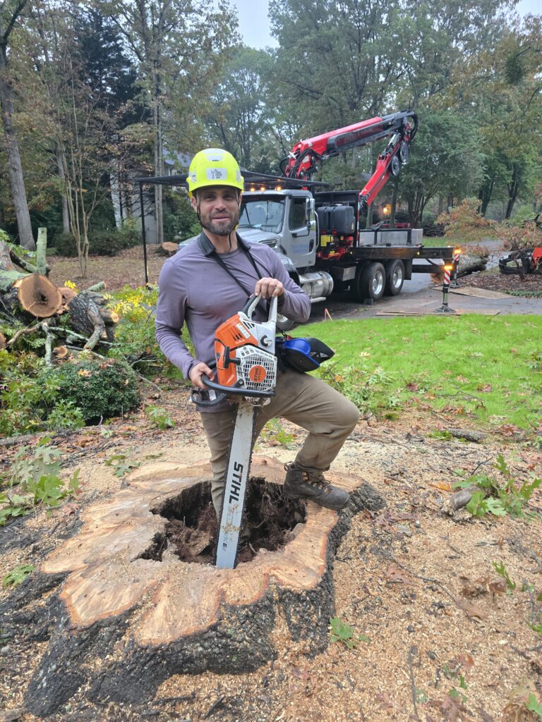 🌲 Rooted in Community, Growing Together: A Thank You From Trout Brook Arborists